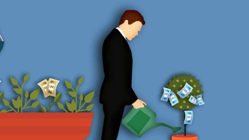 Small Business SEO Packages